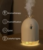 [HOME] Seven color humidifier, small creative new product, water supplement, crown mute, spray home appliances.
